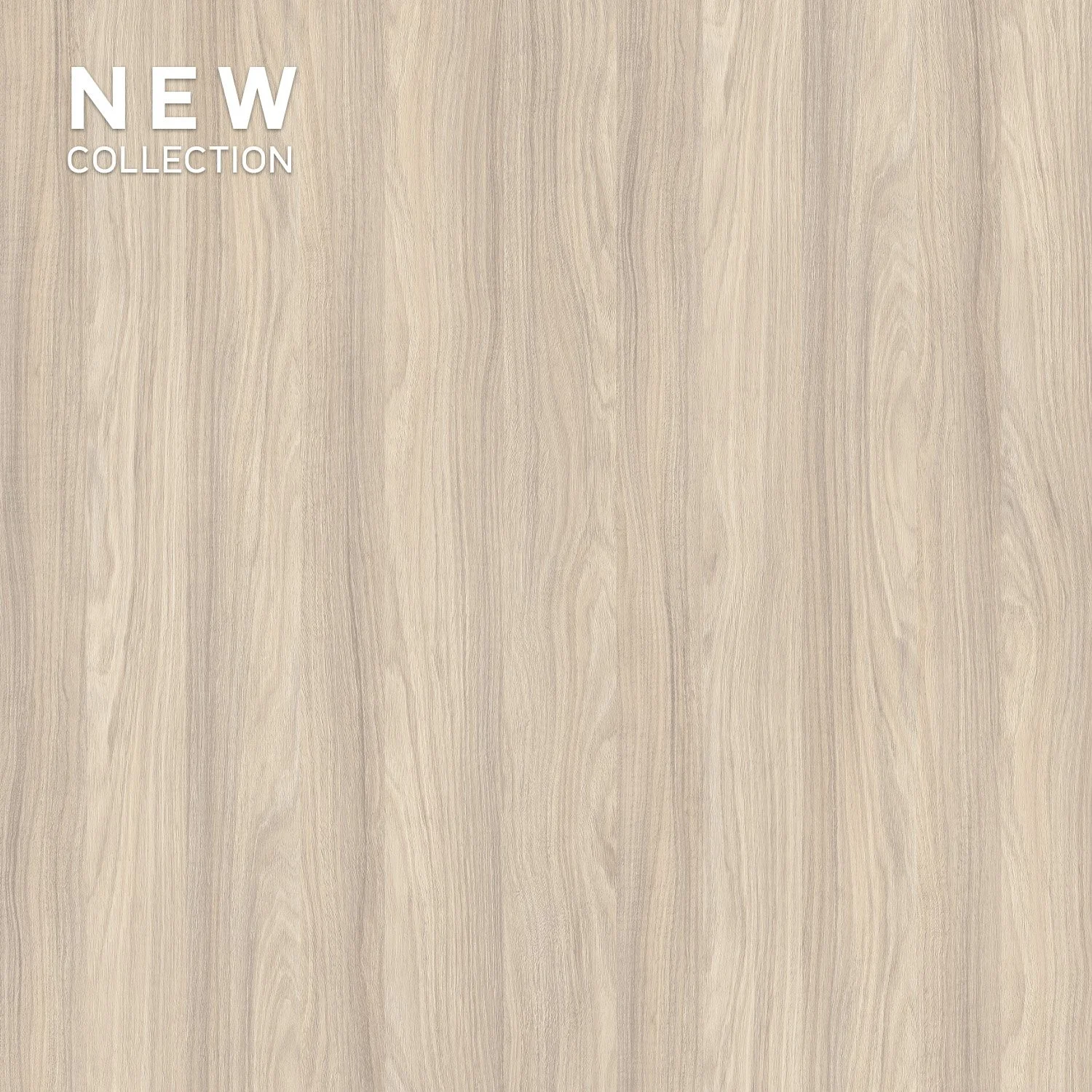 Melamine Faced Particle Board - K544 Hazel Silverjack Oak | WOODca